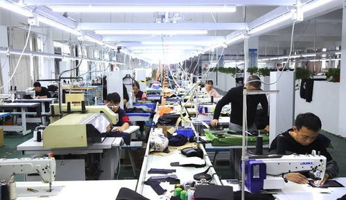 返乡筑梦 启梦服饰以匠心打造安徽本土高端服饰新标杆